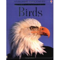 Birds (Discovery Program)