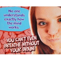 Totally Wacky Facts About the Mind (Mind Benders)