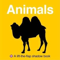 Park (Lift-the-Flap Shadow Books)