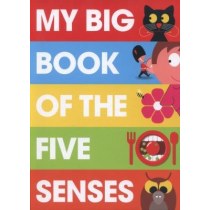 My Big Book of the Five Senses