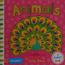 Animals (Bumpy Books)