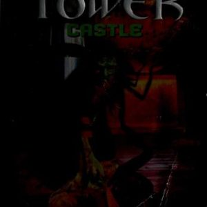 Castle (The Seventh Tower, Book 2)
