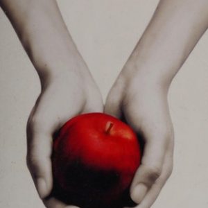 Twilight (Twilight Saga)
