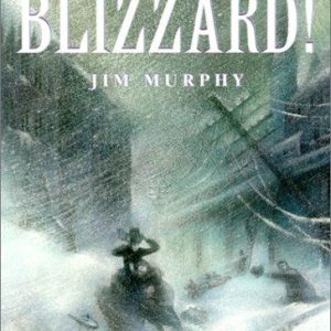 Blizzard