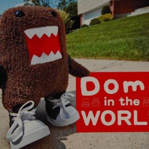 Domo in the World