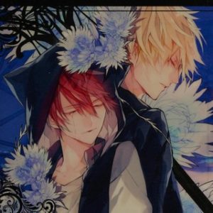 Bloody Mary, Vol. 9
