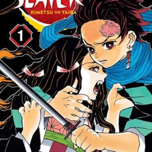Demon Slayer: Kimetsu no Yaiba, Vol. 1