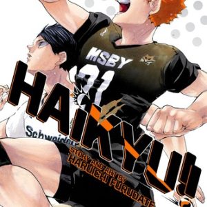 Haikyu!!, Vol. 45