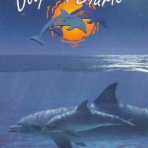 Dolphin Diaries 4: Under the Stars
