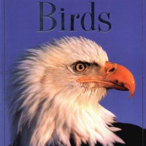 ^(R)Birds (Discovery Program)