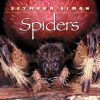 Spiders