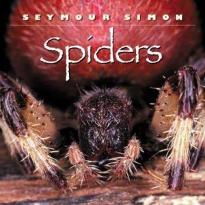 Spiders