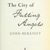 The City Of Falling Angels