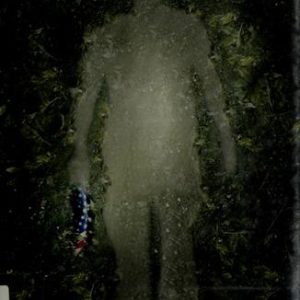 Man in the Dark