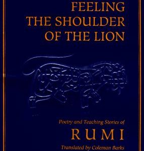 Feeling The Shoulder Of The Lion